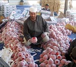 برنامه ها و چشم انداز اقتصاد افغانستان